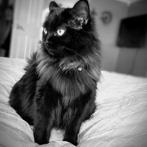 Meet your Posher, Melanie